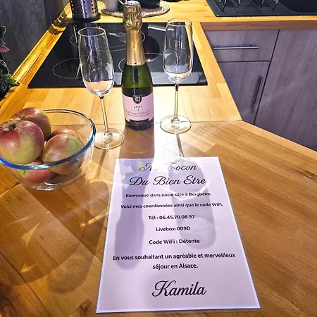 Le Refuge De - Proche Colmar - T2 Superieur Avec Sauna Privatif Ou De Luxe Avec Jacuzzi Privatif Appartement Bergheim