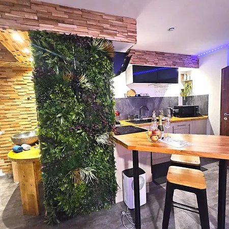 Appartement Le Refuge De - Proche Colmar - T2 Superieur Avec Sauna Privatif Ou De Luxe Avec Jacuzzi Privatif *