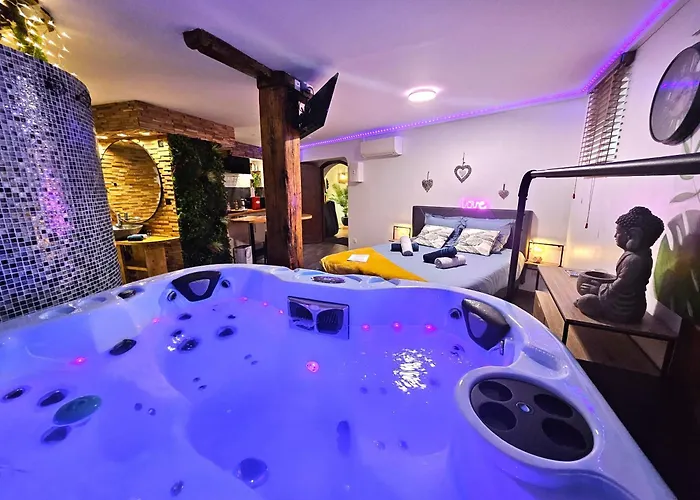 Le Refuge De - Proche Colmar - Sur La Route Des Vins - T2 Supérieur Avec Sauna Privatif Ou De Luxe Avec Jacuzzi Privatif *