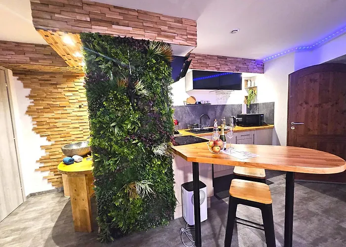 Apartamento Le Refuge De - Proche Colmar - Sur La Route Des Vins - T2 Supérieur Avec Sauna Privatif Ou De Luxe Avec Jacuzzi Privatif *